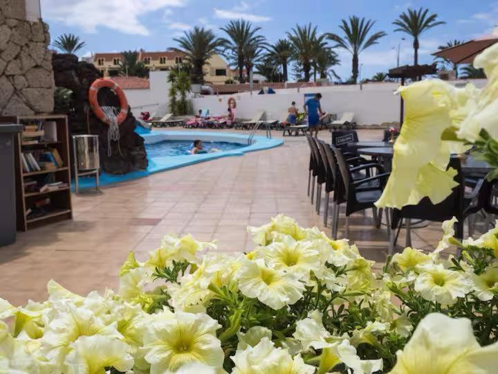 Apartment In Playa De Las Americas 1 Экстерьер фото
